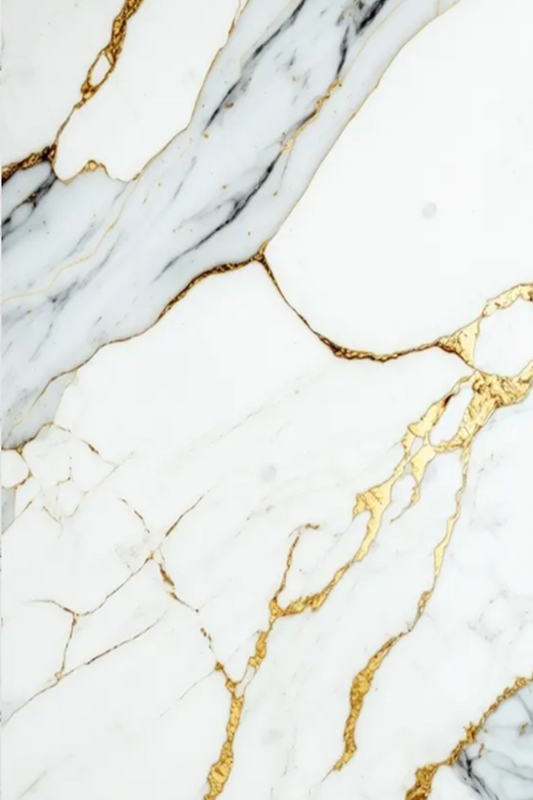 Zlatni Carrara Mramor Zidni Panel 260x122 cm